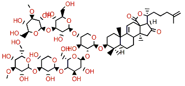 Holotoxin D